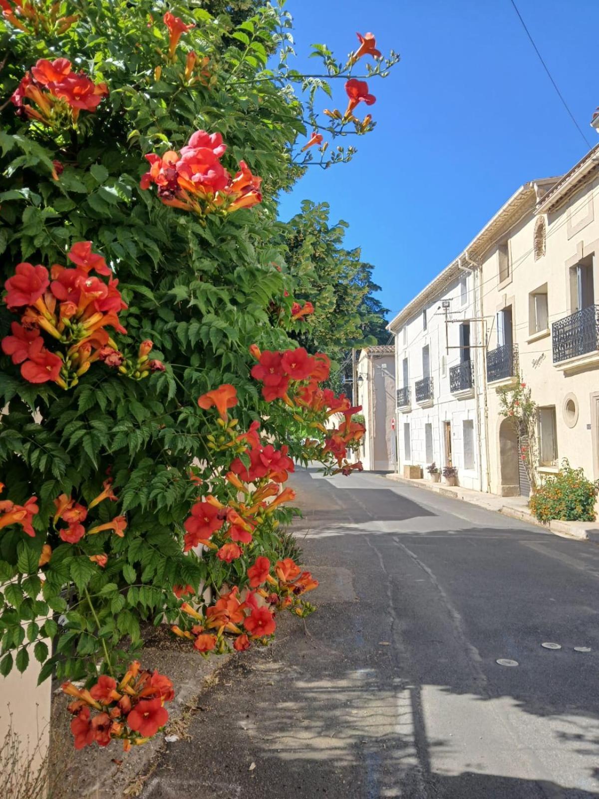 L'Oostaloo Logement De Vacances Usclas-l'Herault Dış mekan fotoğraf